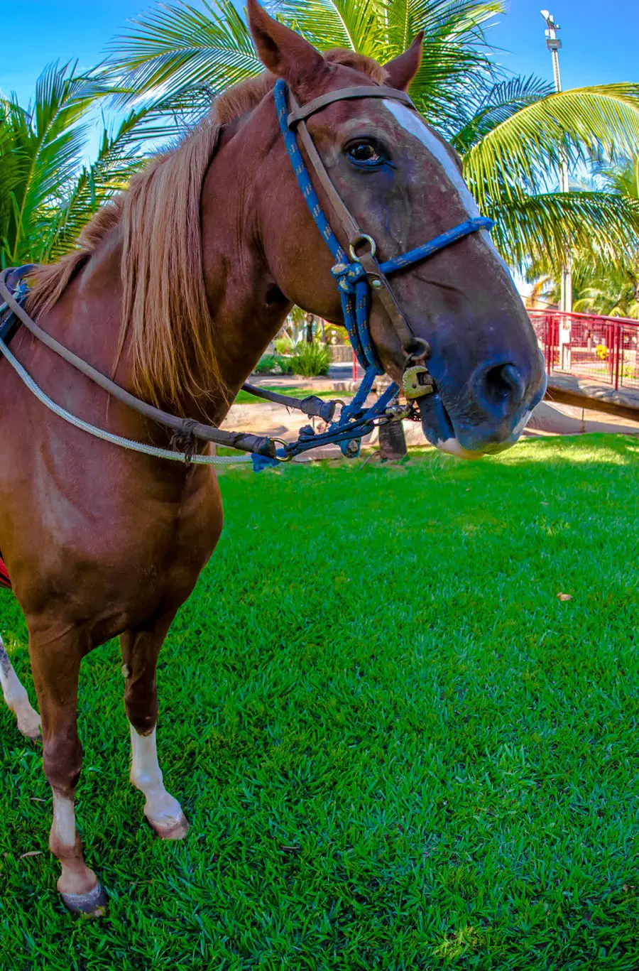 Fazendinha Carpe Diem Eco Resort Olímpia
